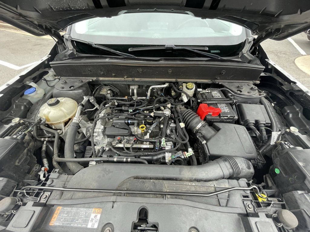 Used 2023 Ford Bronco Sport Big Bend w/ Convenience Package image 32