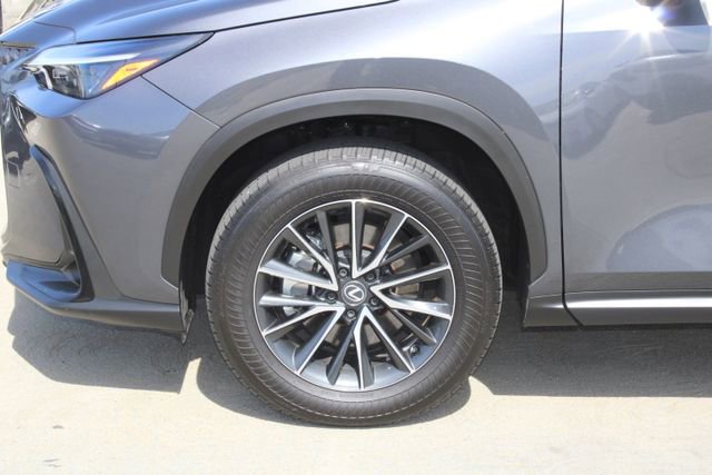 Certified 2024 Lexus NX 250 250 Base w/ Cold Area Package image 4