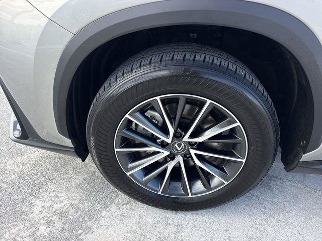Certified 2025 Lexus NX 350h AWD w/ Cold Area Package image 10