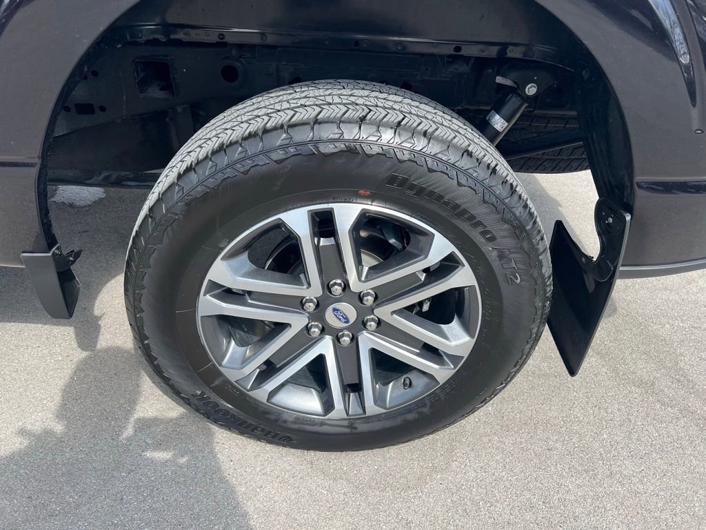 Used 2023 Ford F150 XL w/ STX Appearance Package image 14