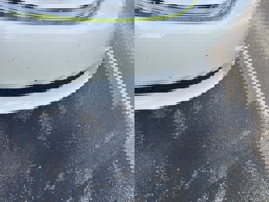 Used 2017 Toyota Sienna LE FWD image 3