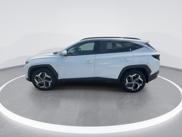 Used 2024 Hyundai Tucson Limited AWD/4WD image 5