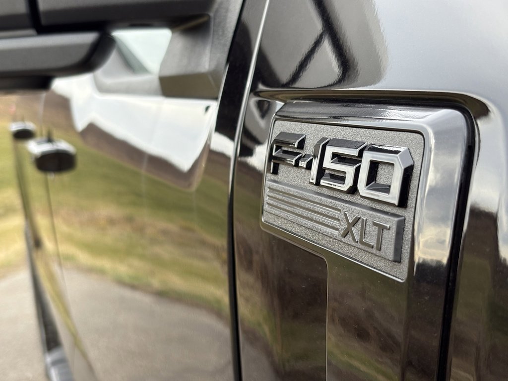 New 2025 Ford F150 XLT w/ Equipment Group 302A MID image 10