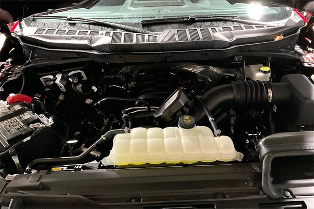 New 2025 Ford F150 XLT w/ Equipment Group 302A MID image 12