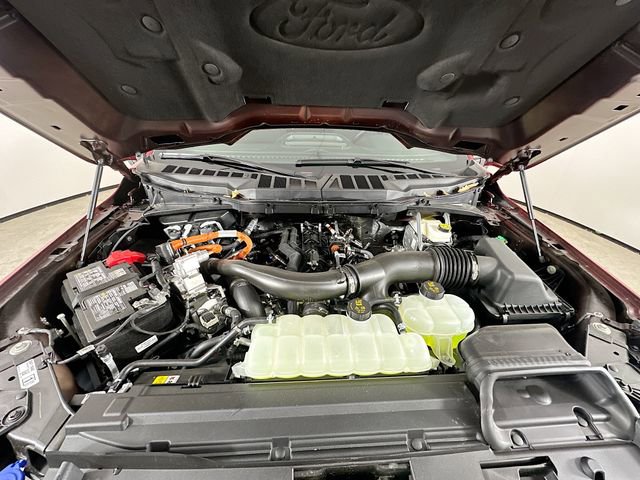 New 2025 Ford F150 XLT w/ Equipment Group 302A MID image 29