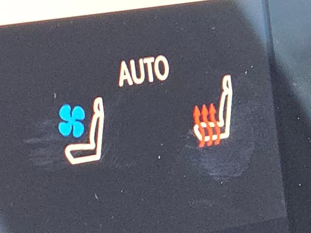 Certified 2024 Lexus GX 550 550 Premium+ image 13