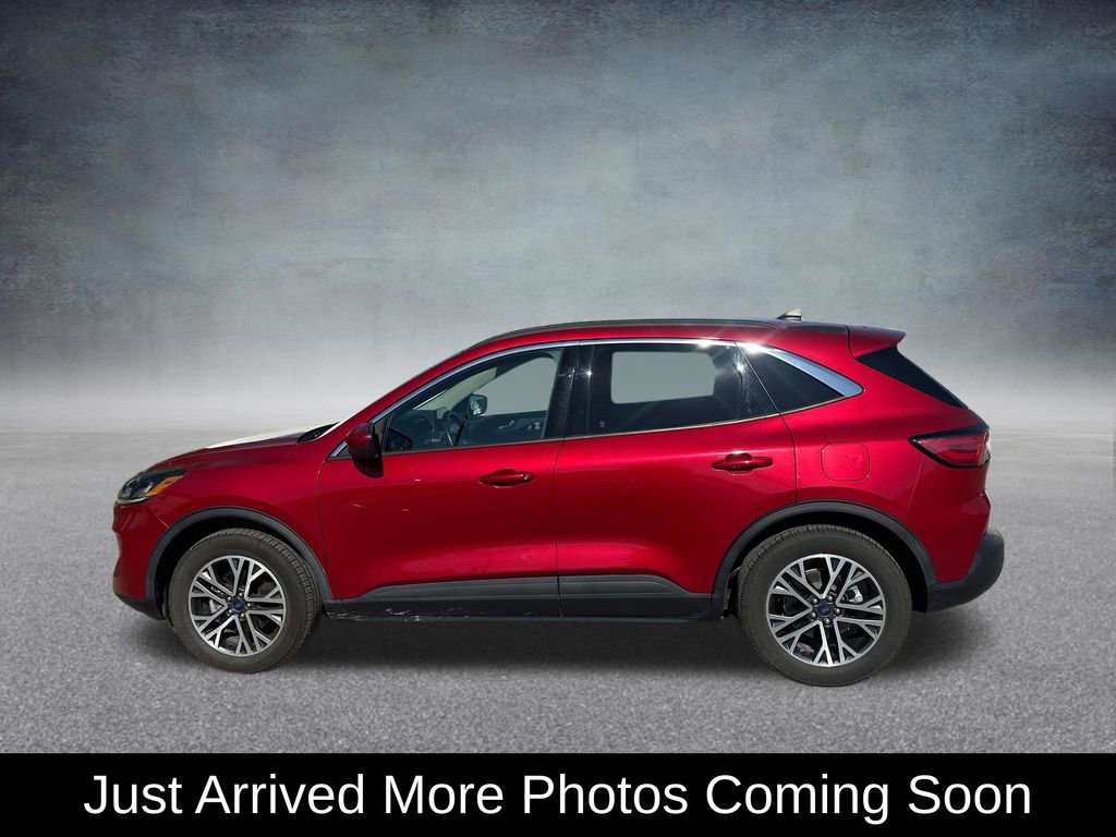 Used 2020 Ford Escape SEL image 3