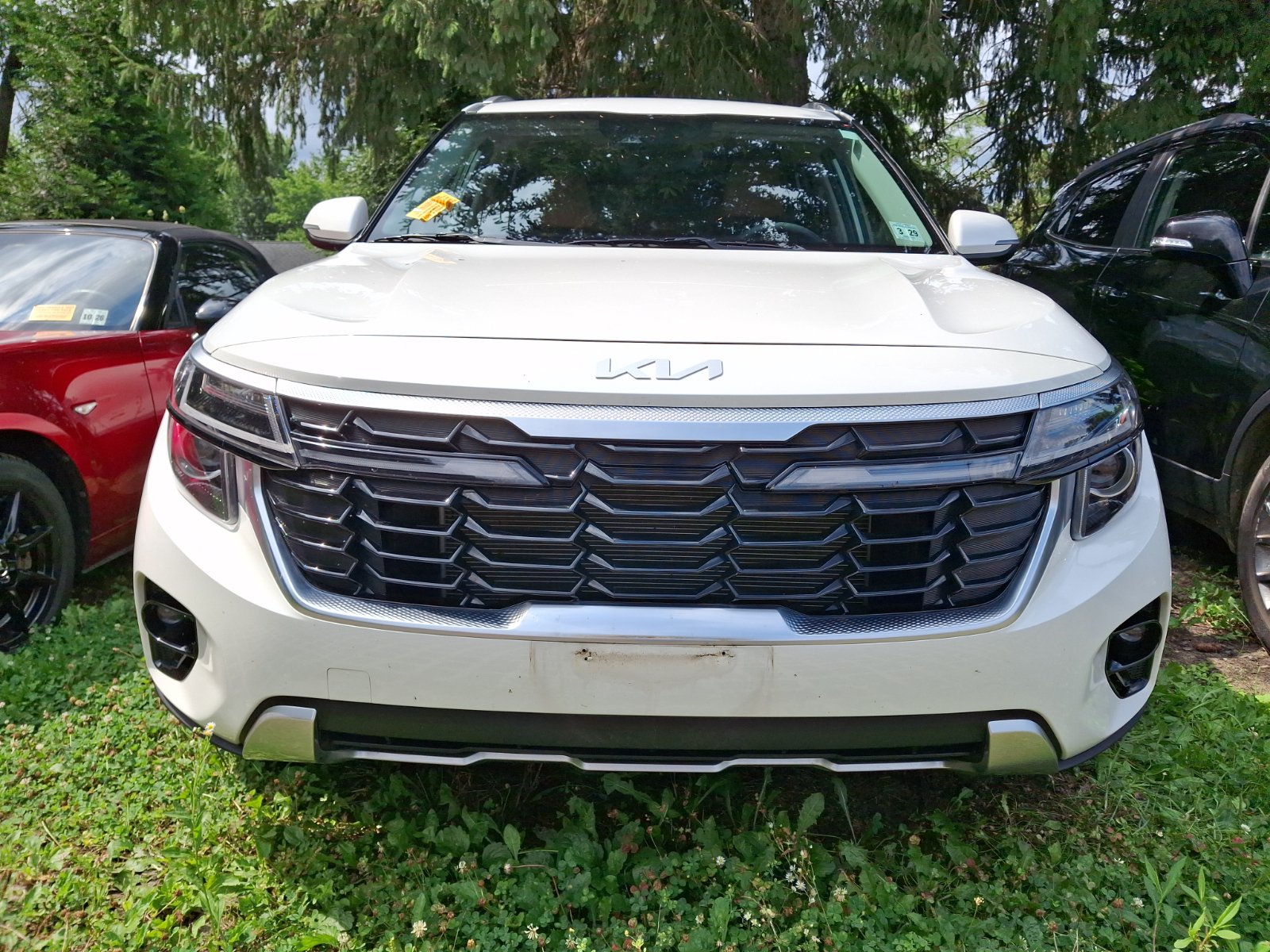 Used 2024 Kia Seltos EX AWD/4WD image 2