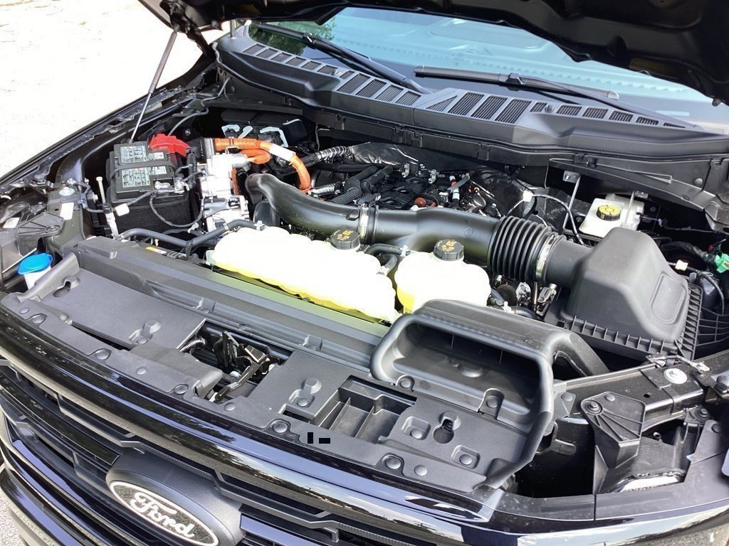 New 2025 Ford F150 XLT w/ Equipment Group 301A Standard image 18