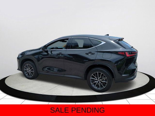 Certified 2024 Lexus NX 350 AWD w/ Cold Area Package image 6