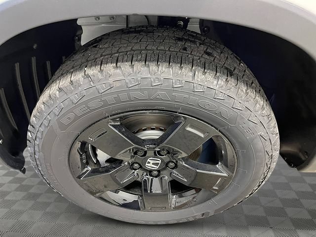 New 2026 Honda Ridgeline Black Edition image 12