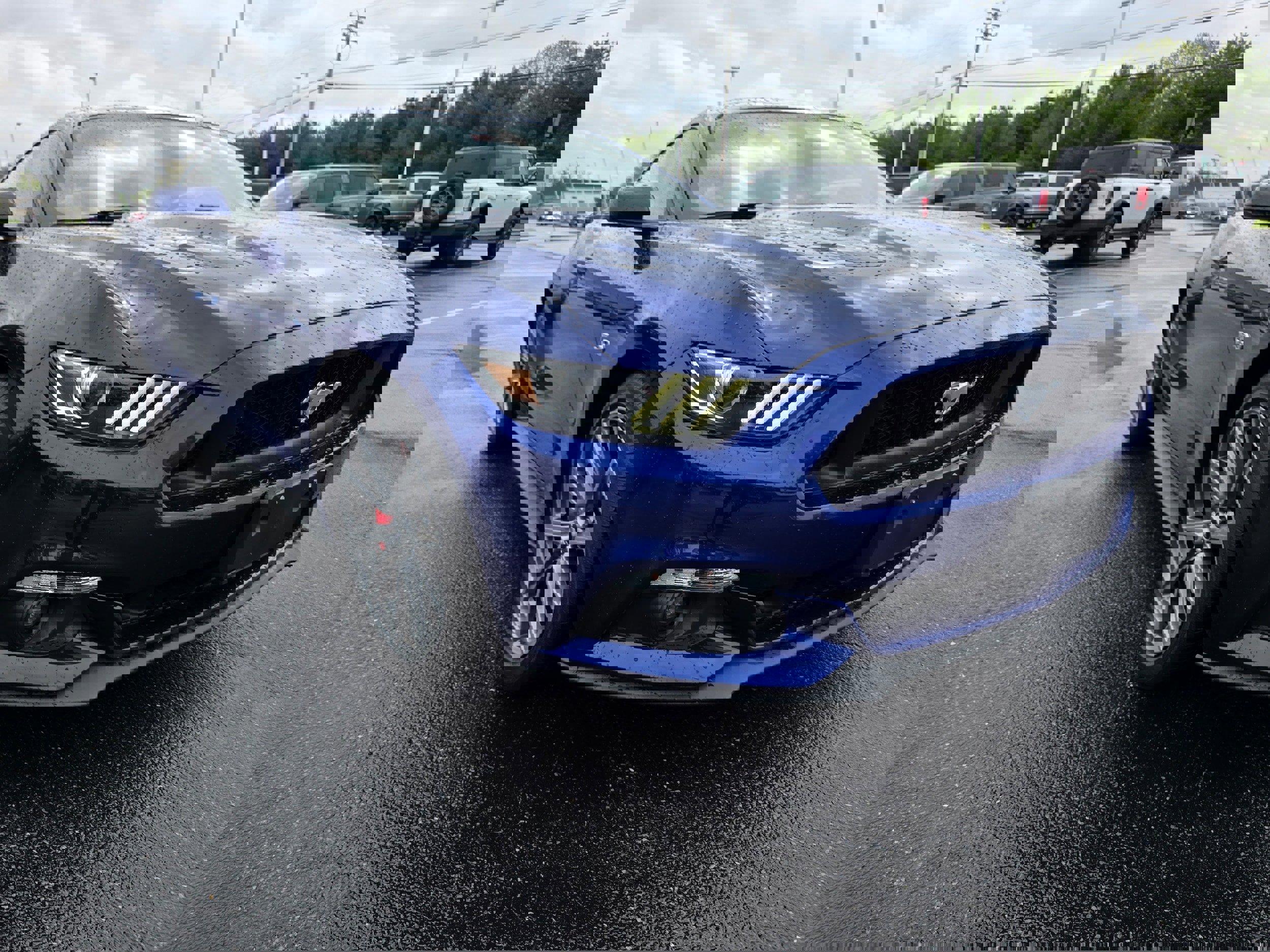 Used 2016 Ford Mustang GT Premium w/ Enhanced Security Package RWD image 5