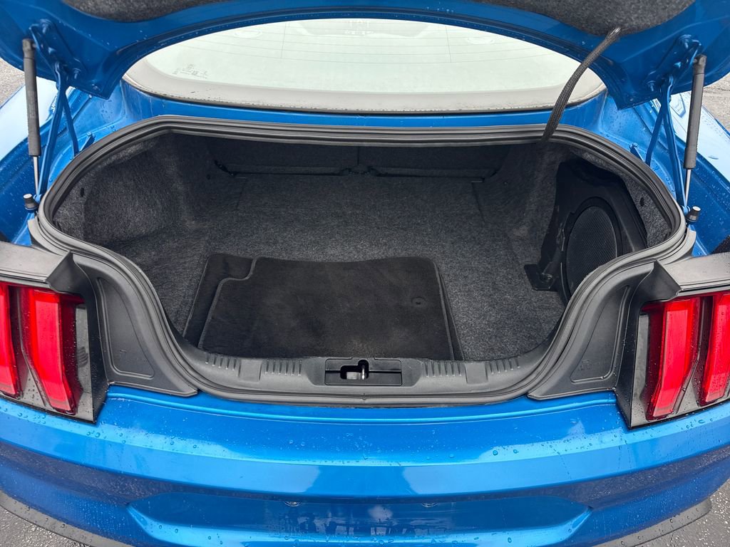 Used 2019 Ford Mustang Premium w/ Equipment Group 201A image 11