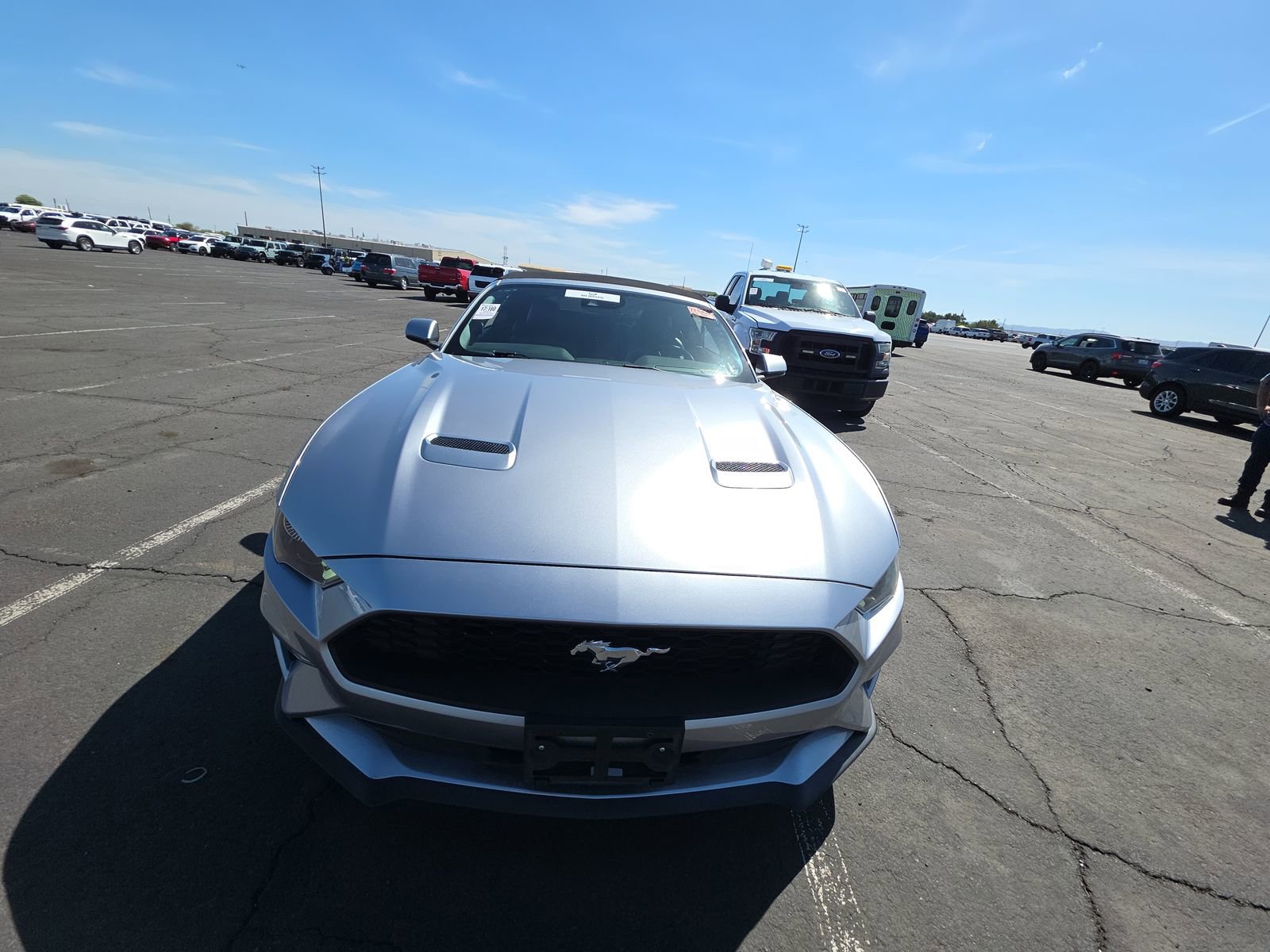 Used 2023 Ford Mustang Premium image 2
