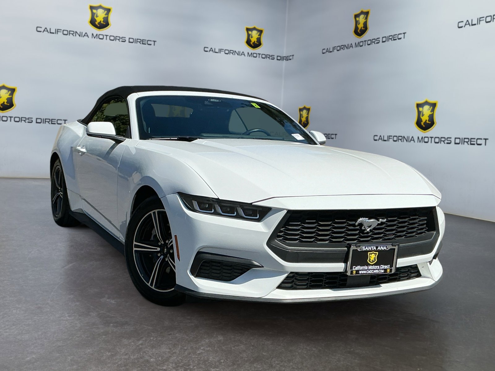 Used 2024 Ford Mustang Premium image 3