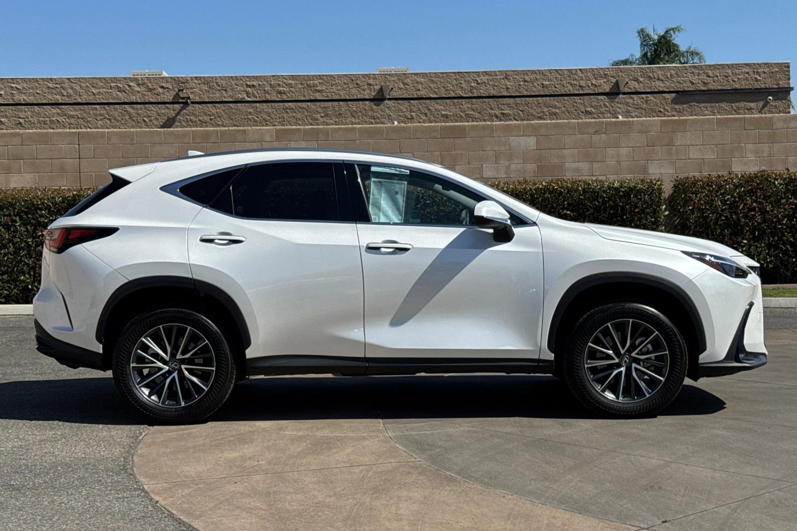 Certified 2024 Lexus NX 350h AWD image 3