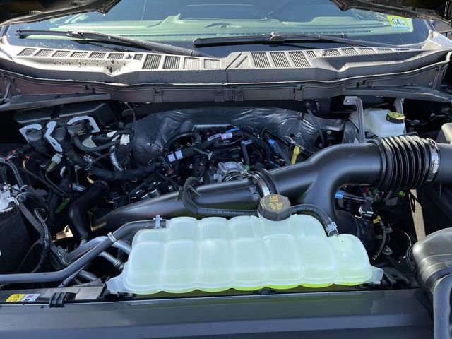 New 2026 Ford F150 STX image 12