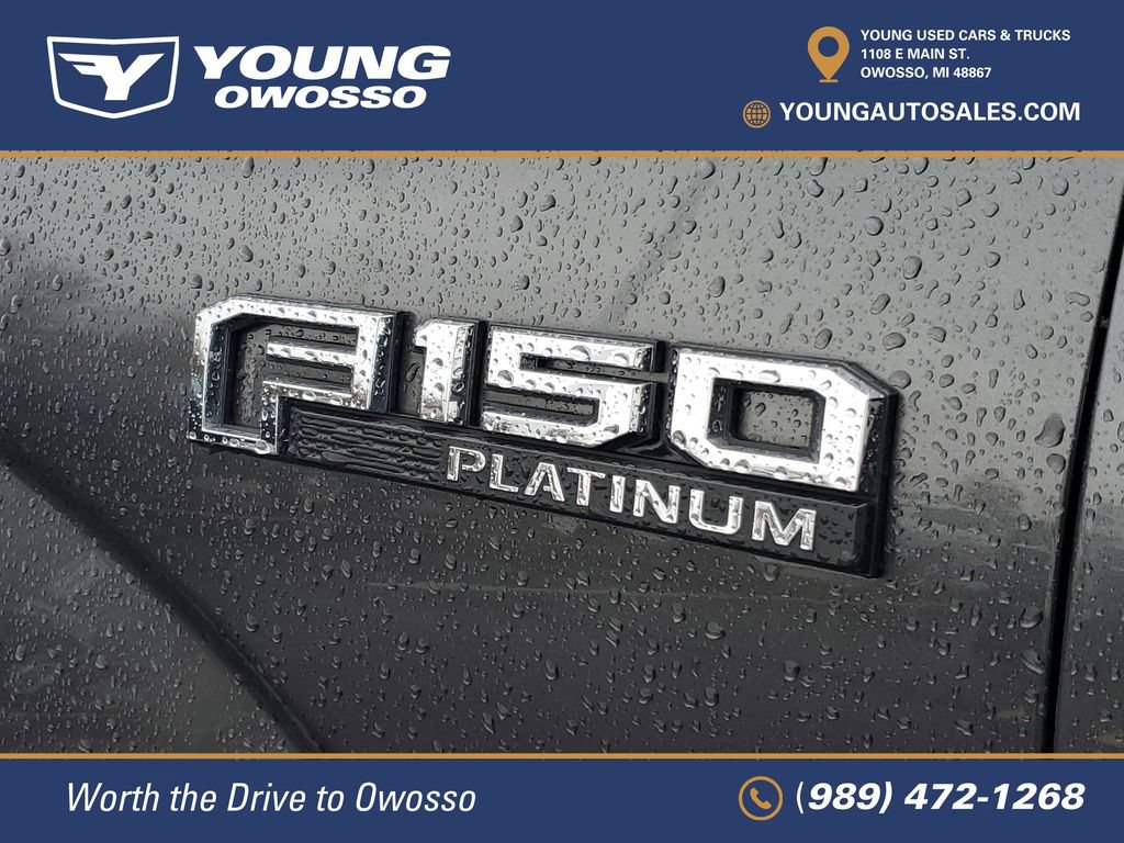 Used 2020 Ford F150 Platinum w/ Equipment Group 701A Luxury AWD/4WD image 35