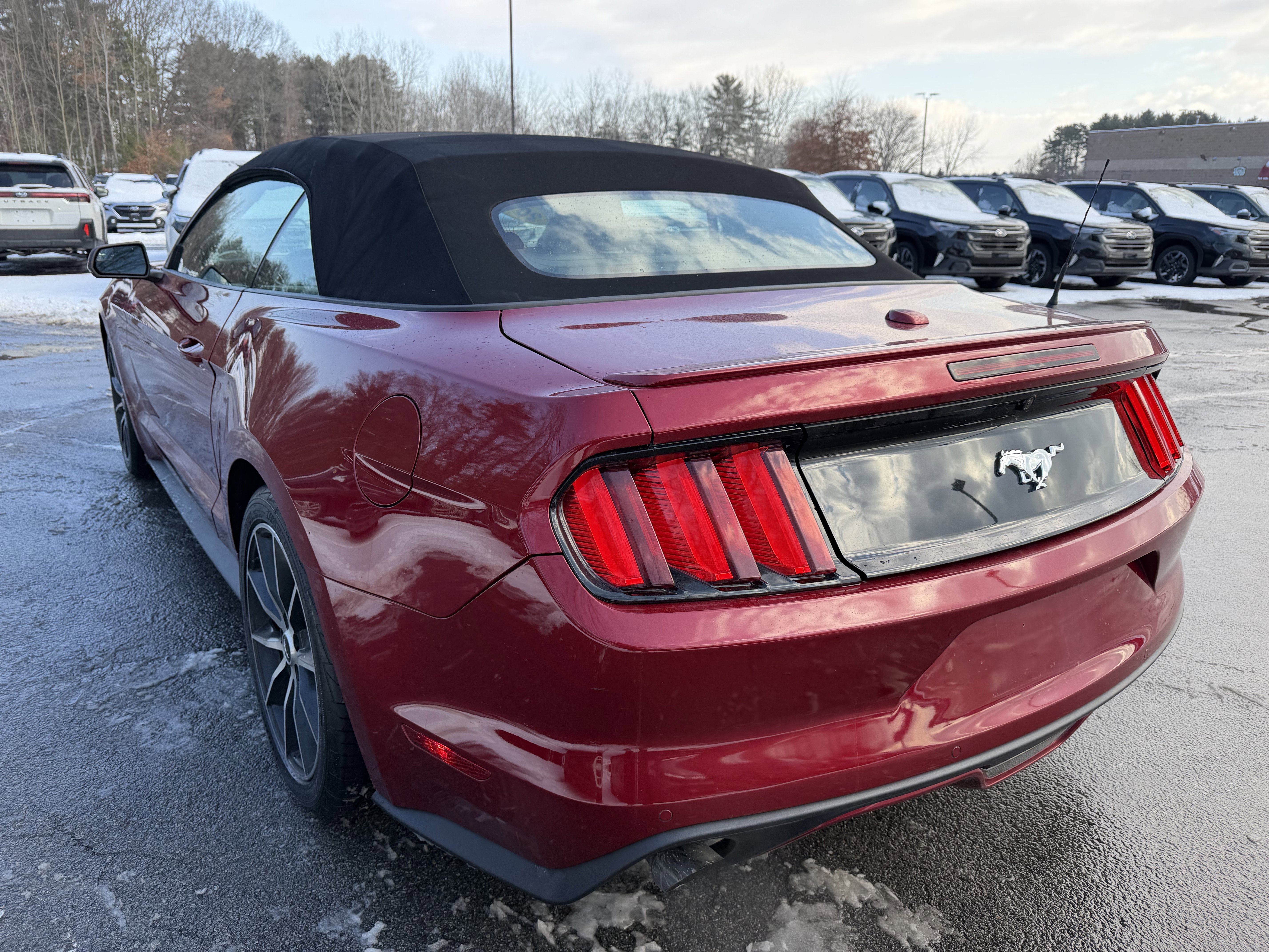 Used 2017 Ford Mustang Premium w/ Wheel & Stripe Package image 10