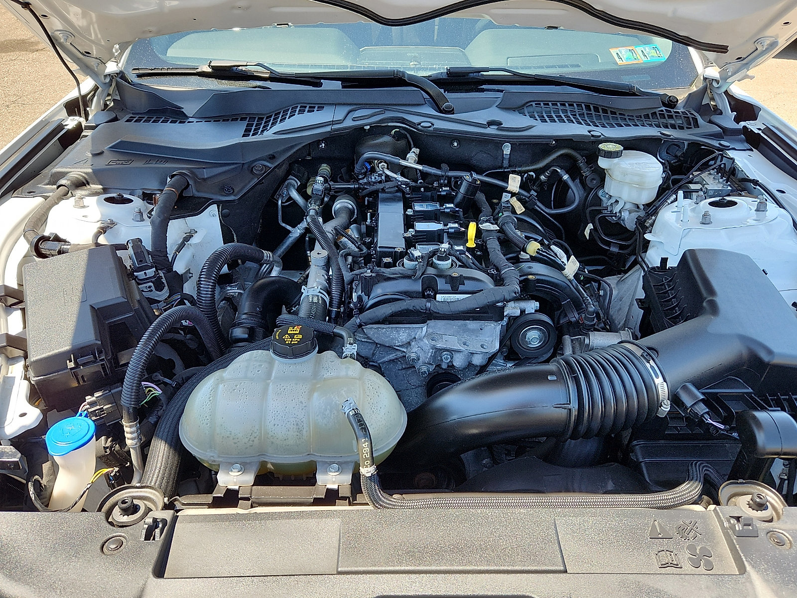 Used 2021 Ford Mustang Premium w/ Pony Package RWD image 26