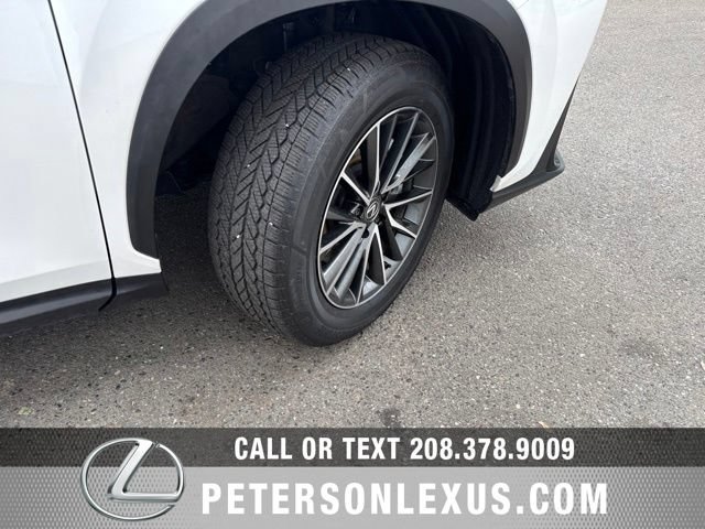 Used 2024 Lexus NX 350h AWD w/ Cold Area Package image 11