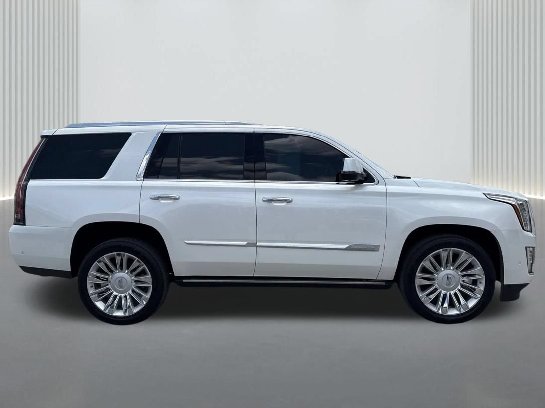 Used 2020 Cadillac Escalade Platinum RWD image 5