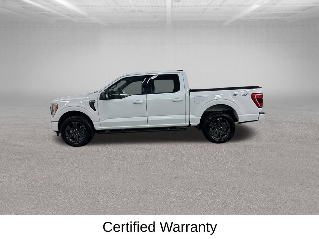 Used 2023 Ford F150 XLT w/ Equipment Group 302A High AWD/4WD image 9