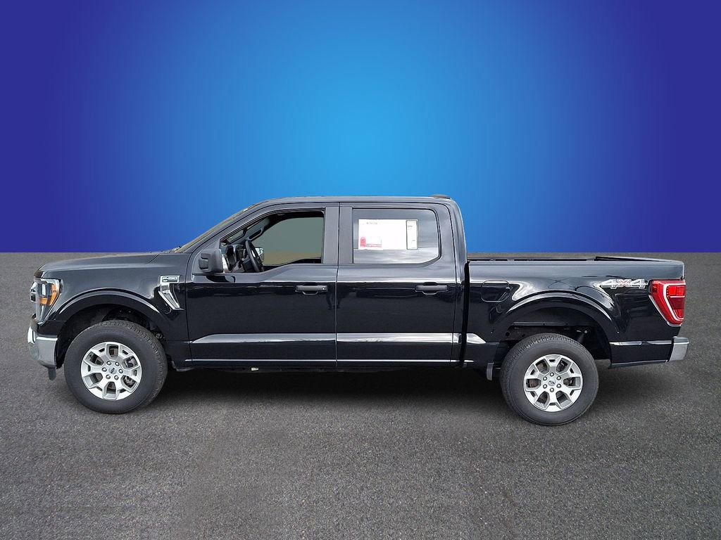Used 2023 Ford F150 XLT image 7