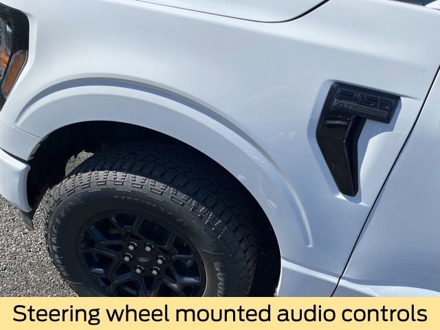 New 2026 Ford F150 XLT w/ Equipment Group 302A MID image 11