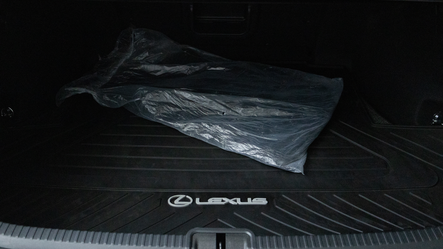 Used 2021 Lexus ES 250 w/ Premium Package AWD/4WD image 29