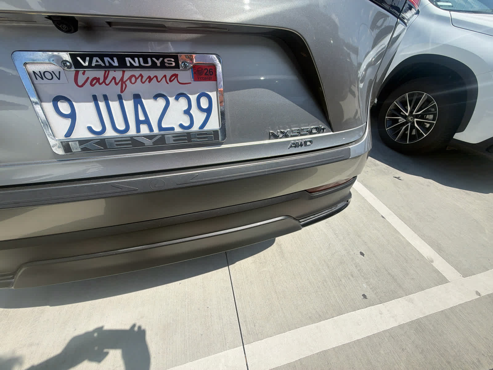Used 2024 Lexus NX 350h AWD w/ Cold Area Package image 2