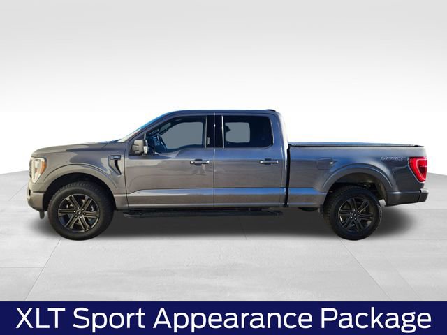 Certified 2022 Ford F150 XLT w/ Equipment Group 302A High image 7