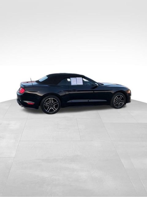 Used 2019 Ford Mustang Premium image 5