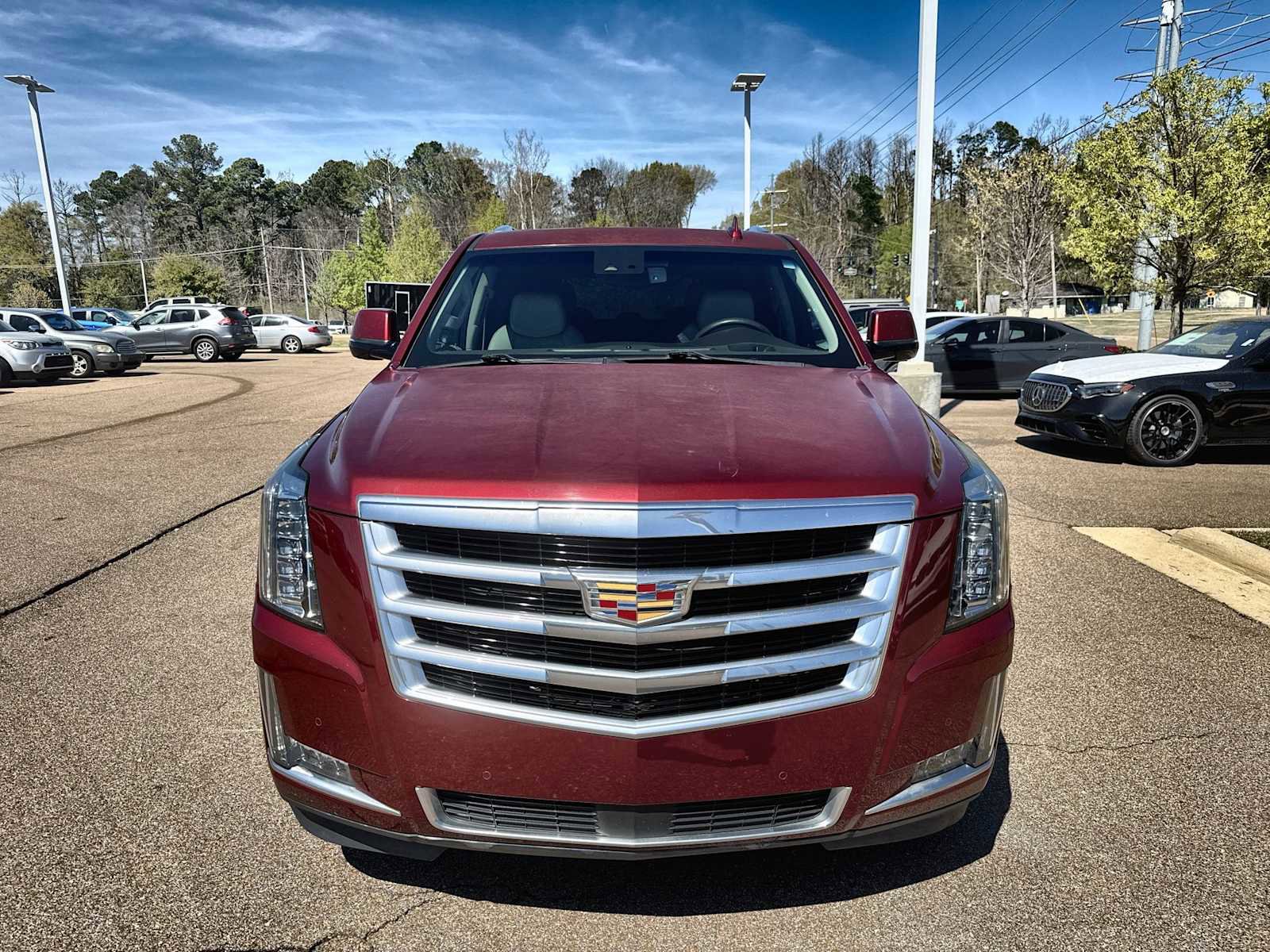 Used 2016 Cadillac Escalade Luxury image 12