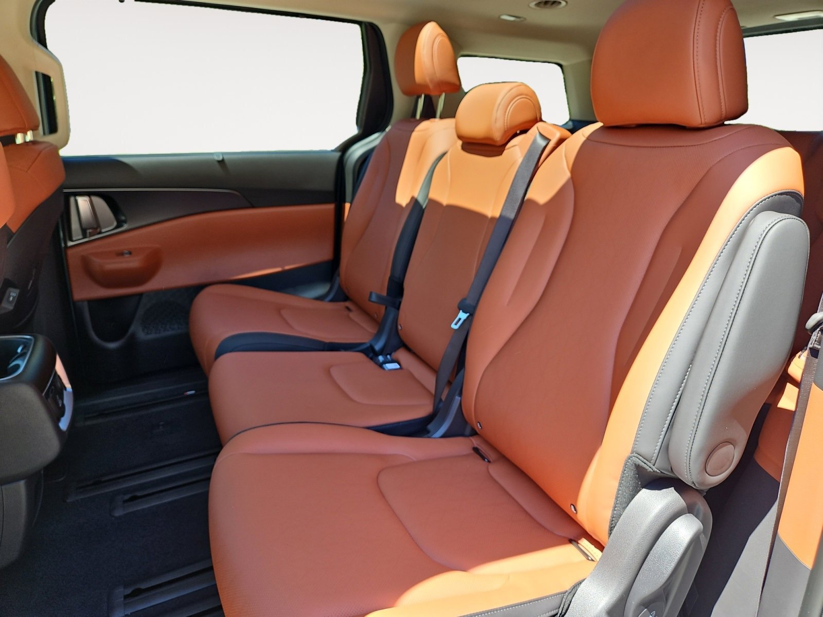 New 2026 Kia Carnival SX image 13