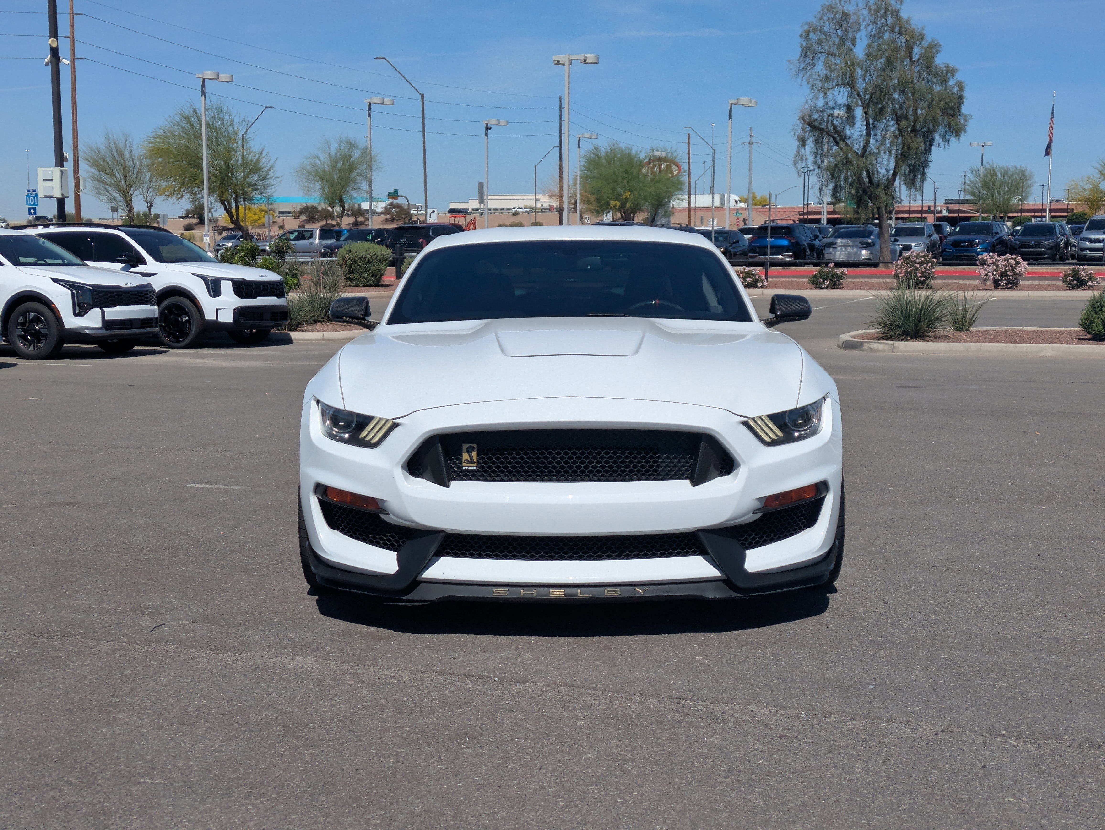 Used 2017 Ford Mustang Shelby GT350 image 8