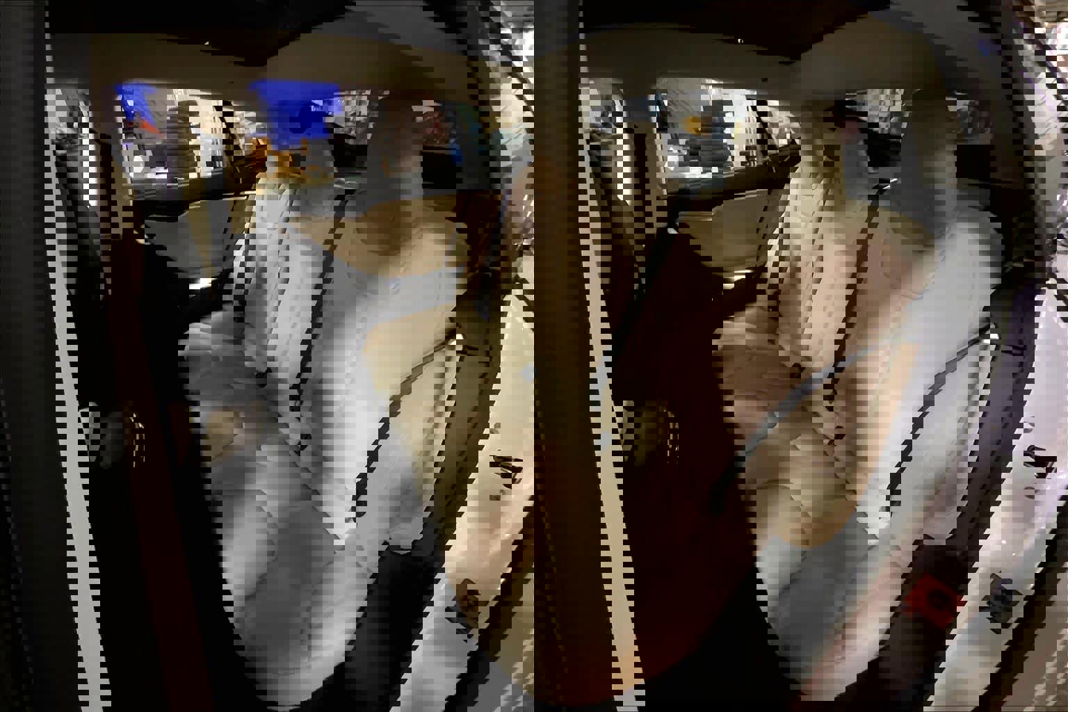 Used 2017 Tesla Model S 75D AWD/4WD image 20