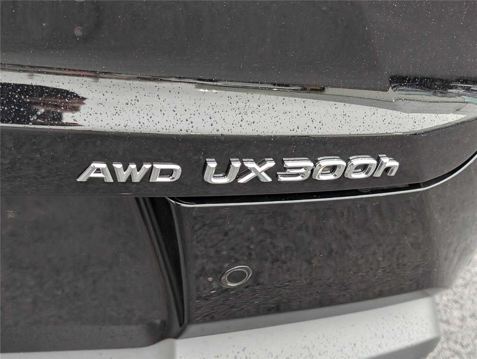 New 2025 Lexus UX 300h AWD image 5