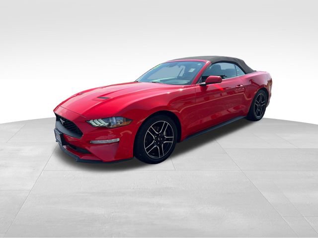 Used 2023 Ford Mustang Premium image 3
