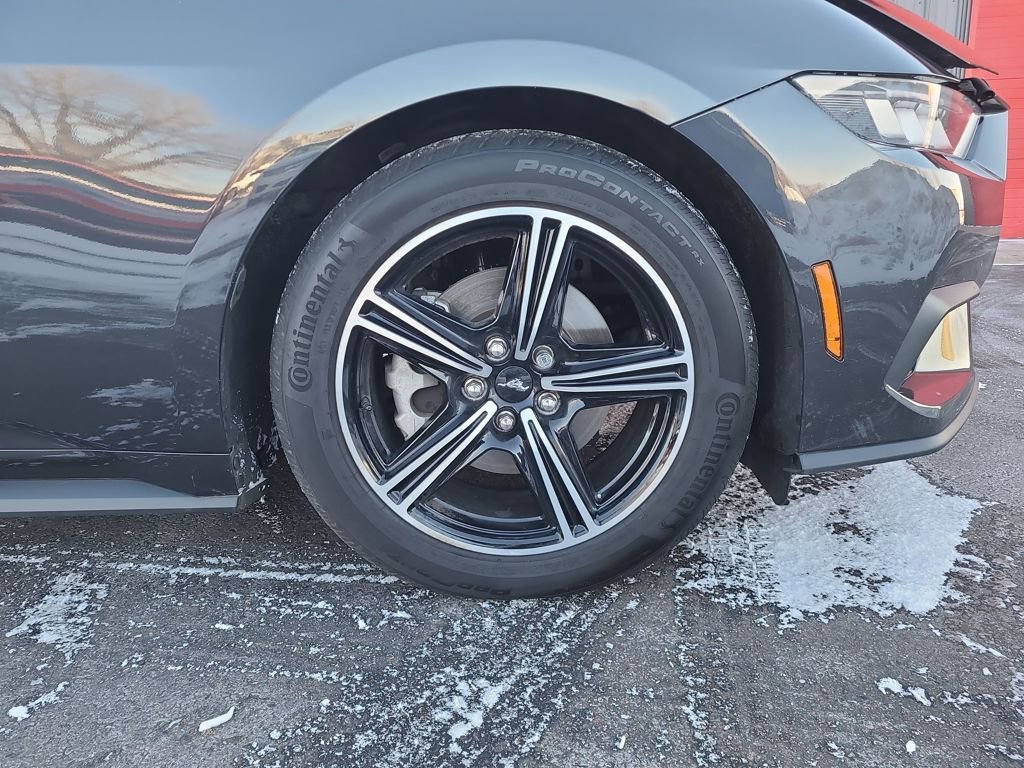 Used 2024 Ford Mustang Premium image 17