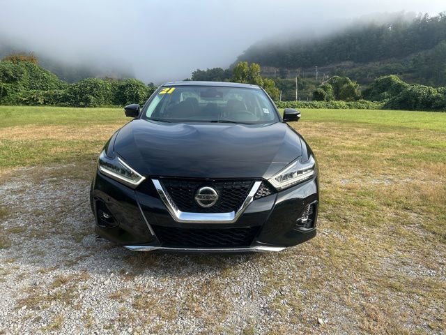 Used 2019 Nissan Maxima SL FWD image 2