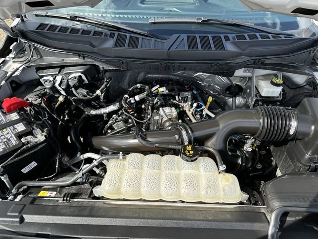 Used 2024 Ford F150 STX AWD/4WD image 19
