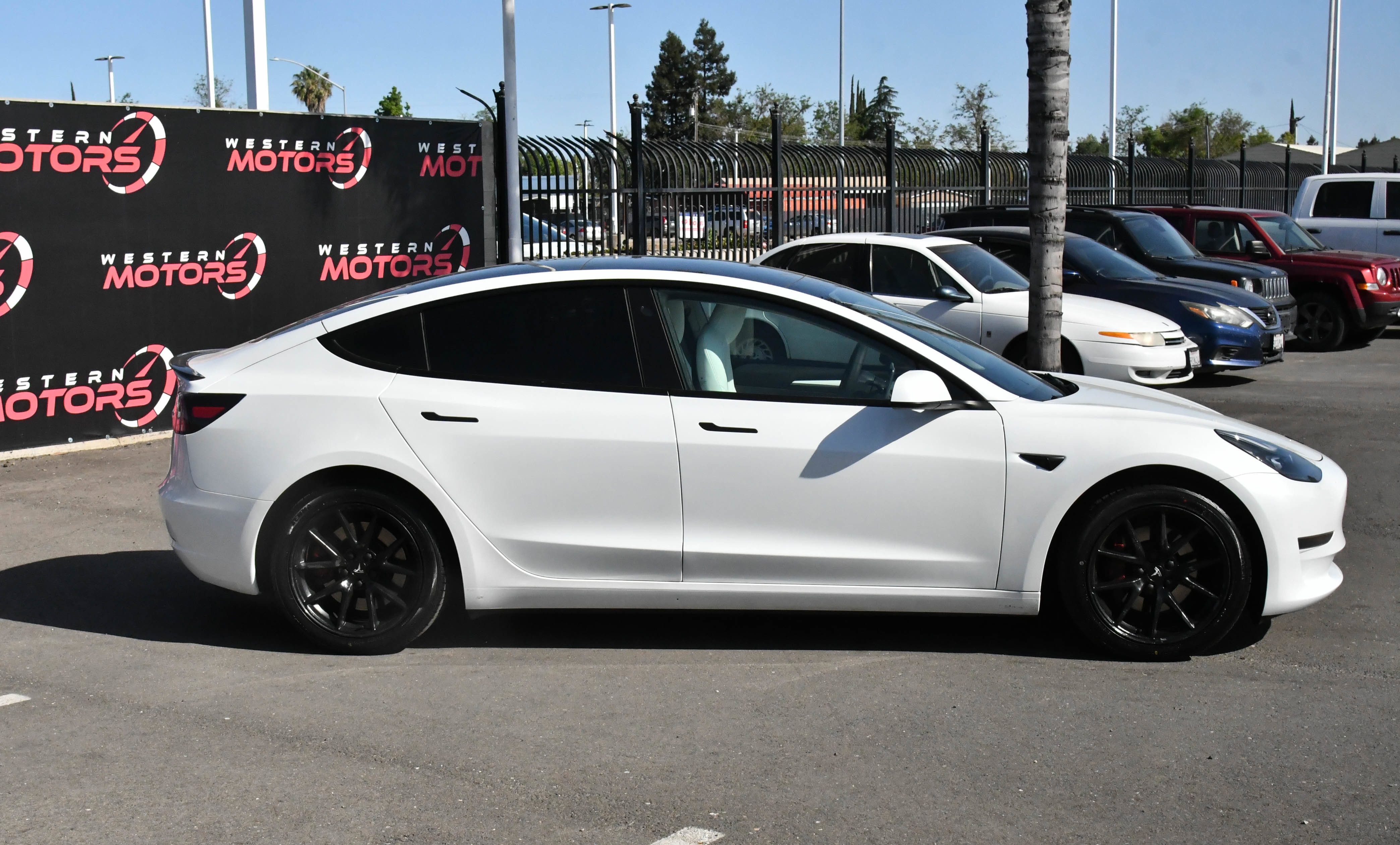 Used 2023 Tesla Model 3 Standard Range RWD image 9