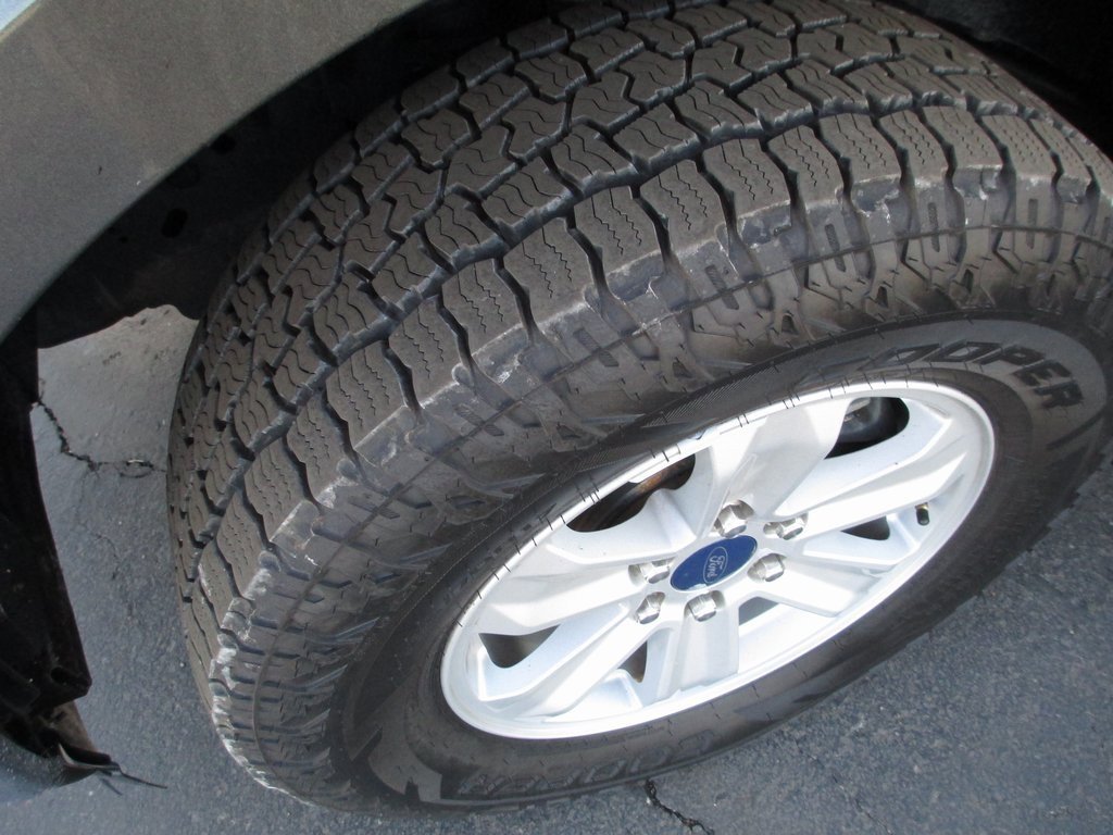 Used 2019 Ford F150 XLT image 11