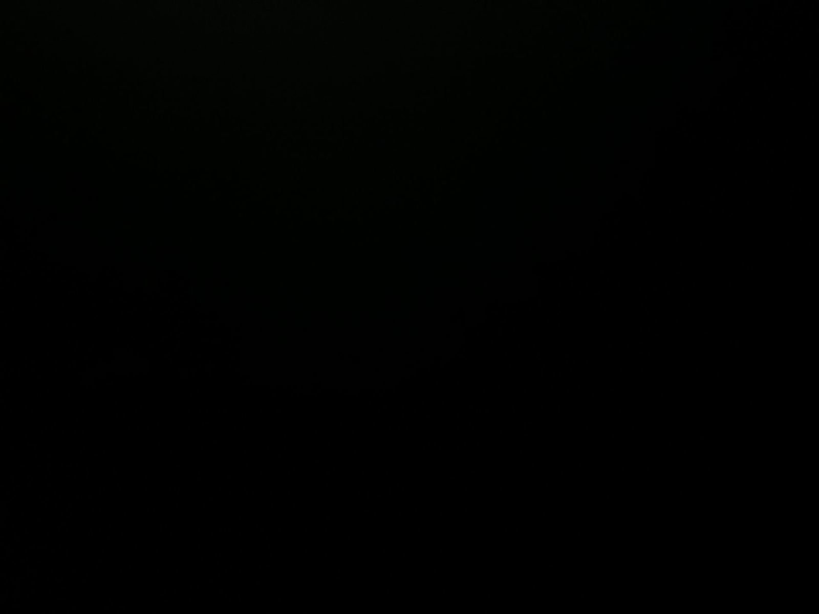 Used 2025 Kia Sportage X-Pro image 6