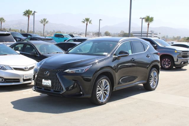 Certified 2025 Lexus NX 350h AWD w/ Cold Area Package image 3