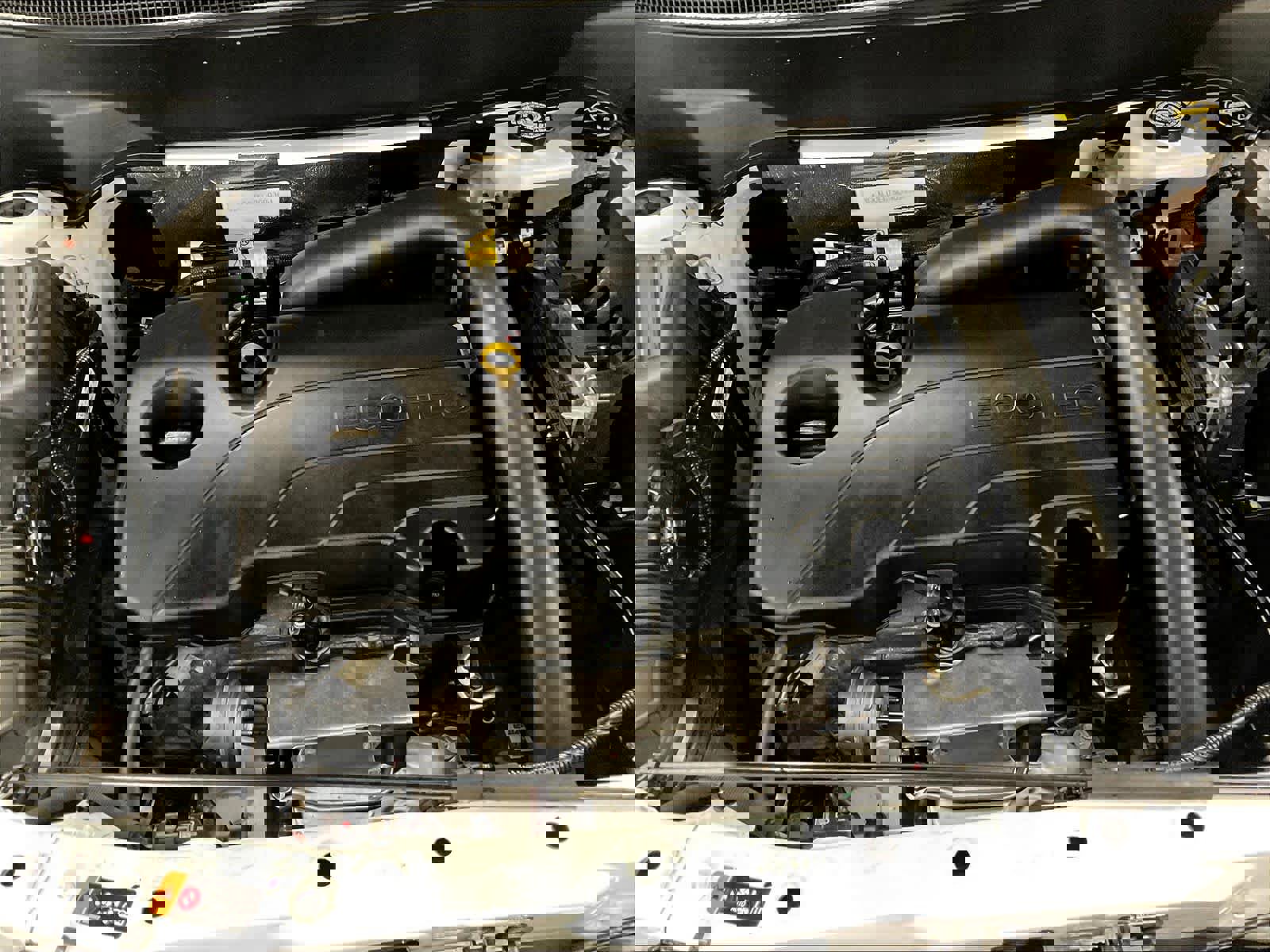 Used 2025 GMC Terrain Elevation image 34