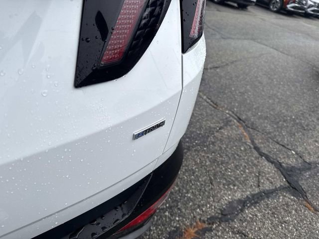 Certified 2022 Hyundai Tucson Limited image 8