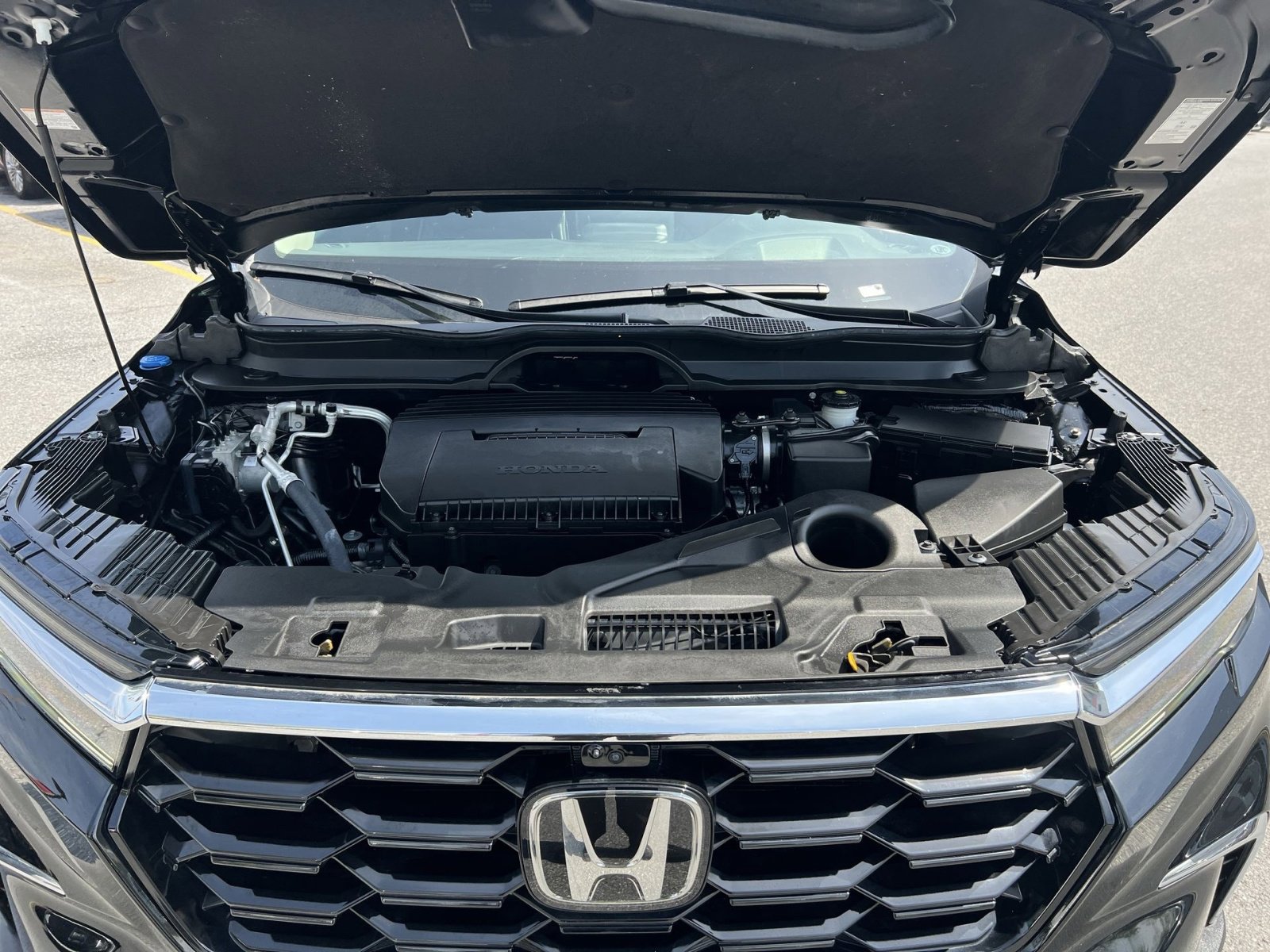 Used 2025 Honda Pilot Elite image 29