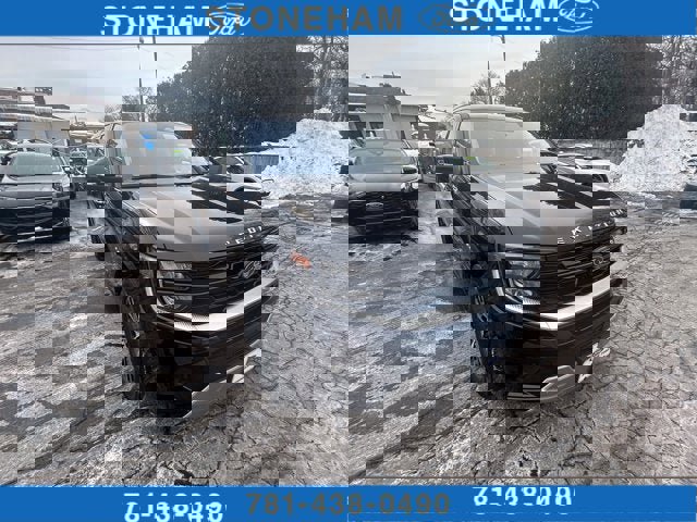 Used 2025 Ford Expedition Max Platinum image 1